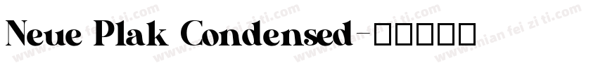 Neue Plak Condensed字体转换